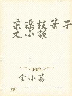 宋瑶枝萧子骞全文小说