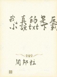 我真的是反派啊小说txt下载