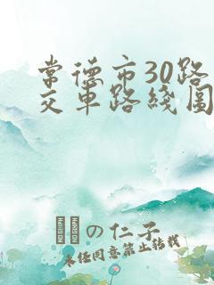 常德市30路公交车路线图