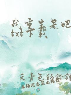 我重生是吧程逐txt下载