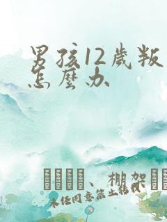 男孩12岁叛逆怎么办