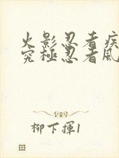 火影忍者疾风传究极忍者风暴2下载