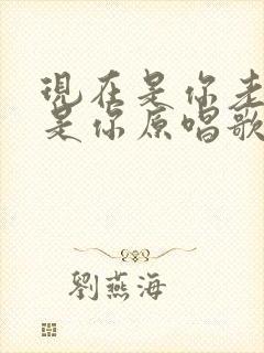 现在是你老了也是你原唱歌曲
