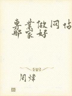 专业做网站建设哪家好