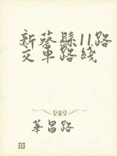 新蔡县11路公交车路线