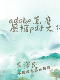 adobe怎么压缩pdf文件大小