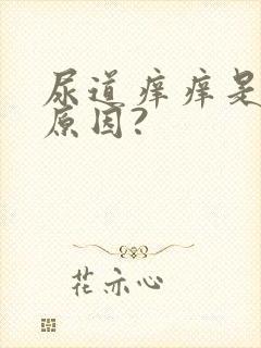 尿道痒痒是什么原因?