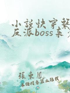 小说快穿系统之反派boss来袭