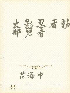 火影忍者动漫在哪儿看