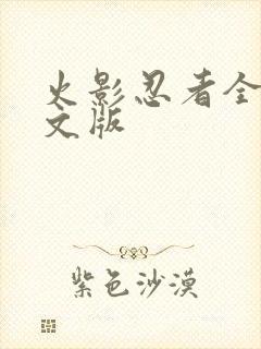 火影忍者全集中文版