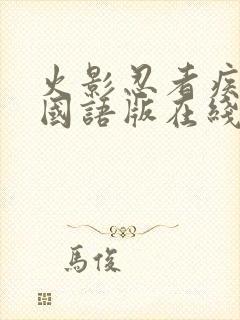 火影忍者疾风传国语版在线观看