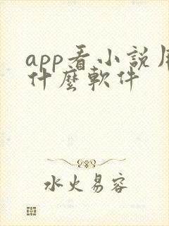 app看小说用什么软件