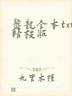盘龙全本txt精校版