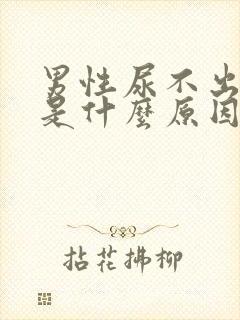 男性尿不出来尿是什么原因