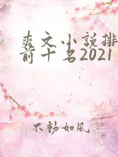 爽文小说排行榜前十名2021
