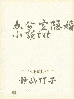 办公室隐婚轻黯小说txt