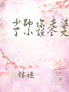 少帅你老婆又跑了小说全文免费阅读