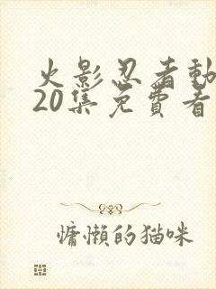 火影忍者动漫720集免费看