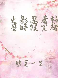 火影忍者动漫什么时候完结的