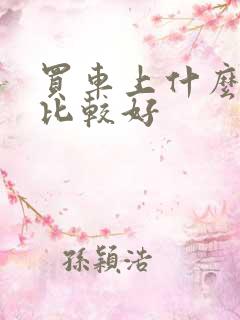 买车上什么网站比较好