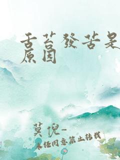 舌苔发苦是什么原因