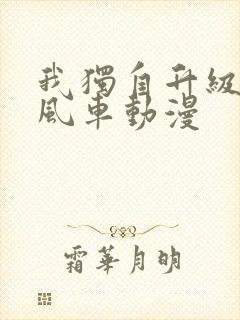 我独自升级动漫风车动漫