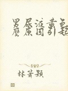 男尿液黄色是什么原因引起的