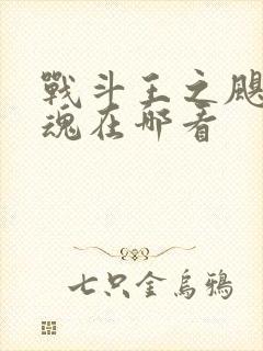 战斗王之飓风战魂在哪看