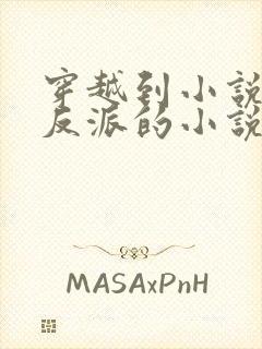 穿越到小说里当反派的小说