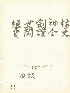 绝世剑神林辰免费阅读全文