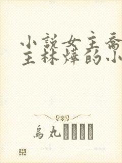 小说女主乔念男主林烨的小说