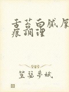 舌苔白腻厚有齿痕调理