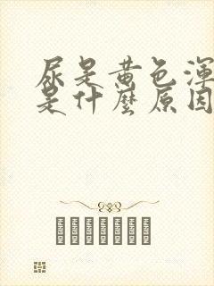 尿是黄色浑浊的是什么原因