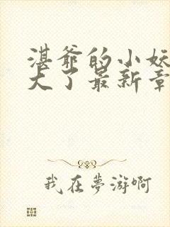 湛爷的小妖精长大了最新章节