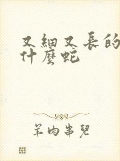 又细又长的蛇是什么蛇