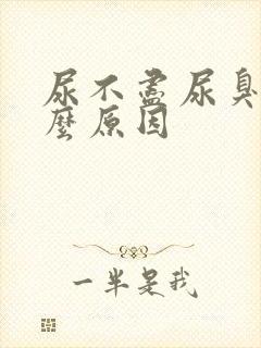 尿不尽尿臭是什么原因