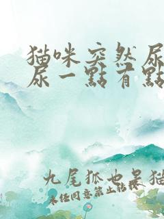 猫咪突然尿频只尿一点有点血