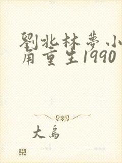 刘北林梦小说主角重生1990