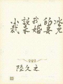 小说我的冰山总裁未婚妻免费阅读