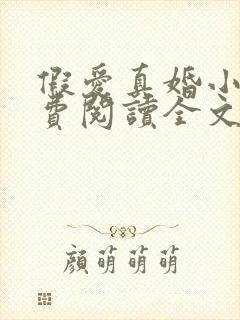 假爱真婚小说免费阅读全文