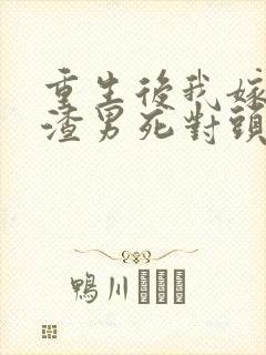 重生后我嫁给了渣男死对头完整版