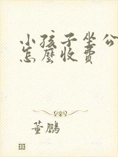 小孩子坐公交车怎么收费