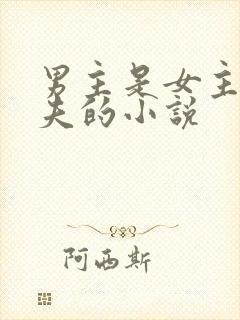 男主是女主的姐夫的小说