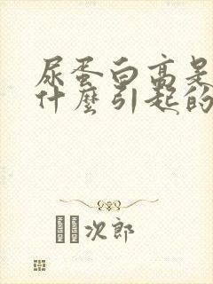 尿蛋白高是因为什么引起的