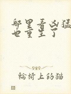 哪里看凶猛道侣也重生了