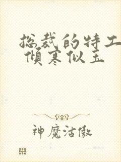 总裁的特工娇妻 倾寒似玉