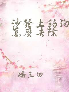 沙发上的狗尿味怎么去除