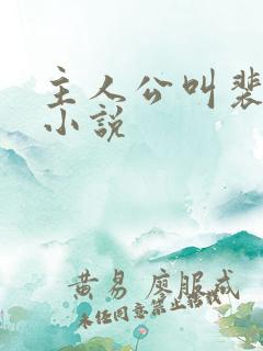 主人公叫裴欢的小说