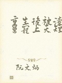 重生后被渣男舅舅宠上天短剧全集