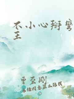 不小心掰弯了男主